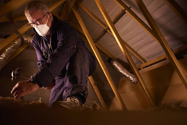Best Types of Insulation in Evansdale, IA